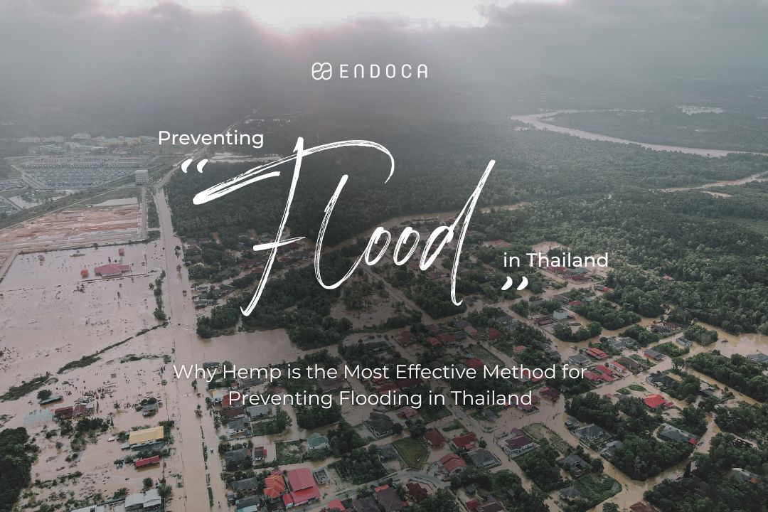 Why Hemp is the Most Effective Method for Preventing Flooding in Thailand