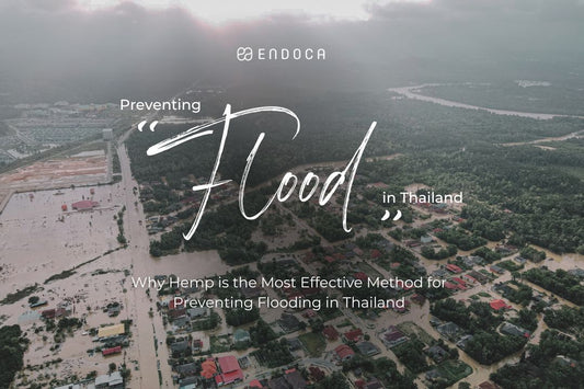 Why Hemp is the Most Effective Method for Preventing Flooding in Thailand