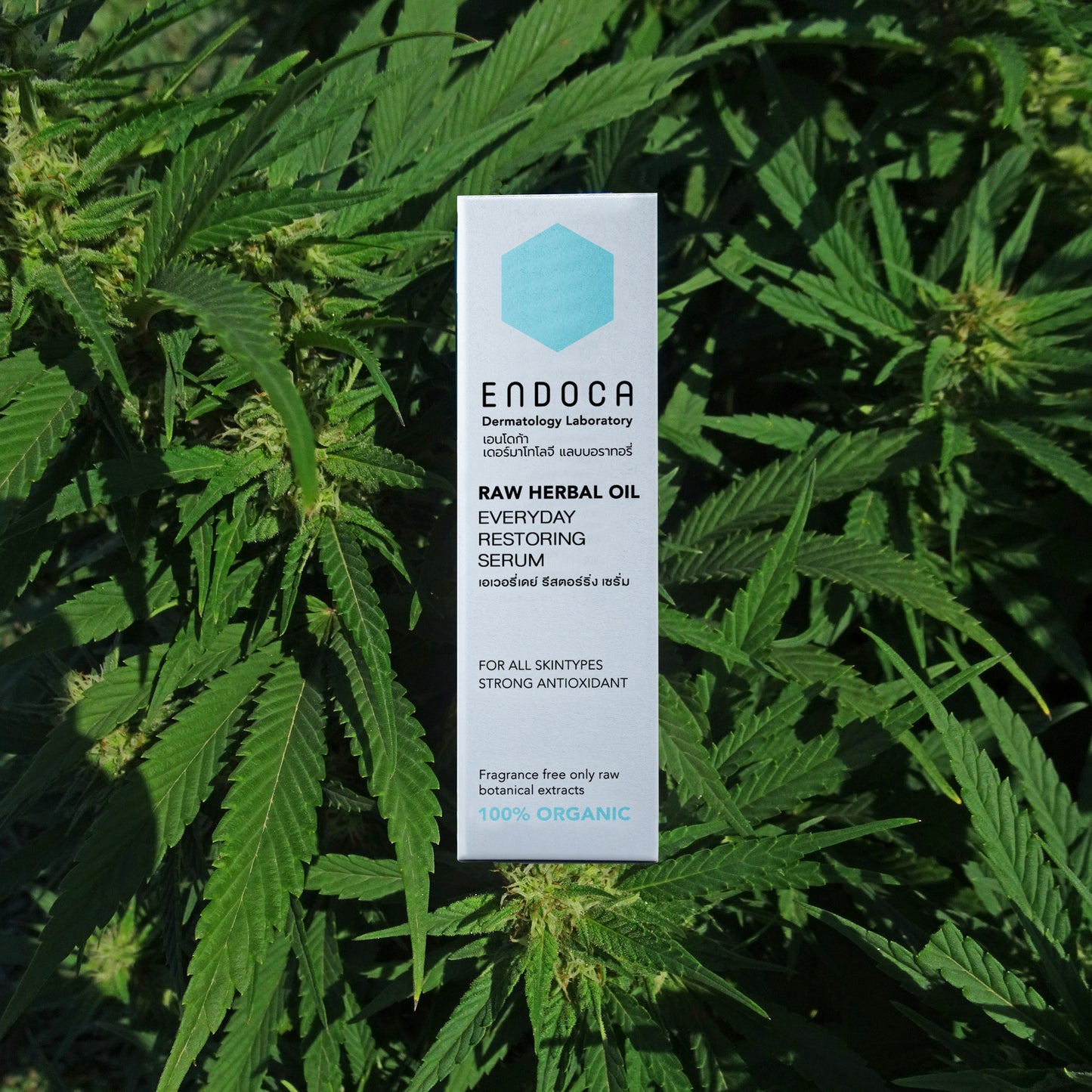 Everyday Restoring Serum