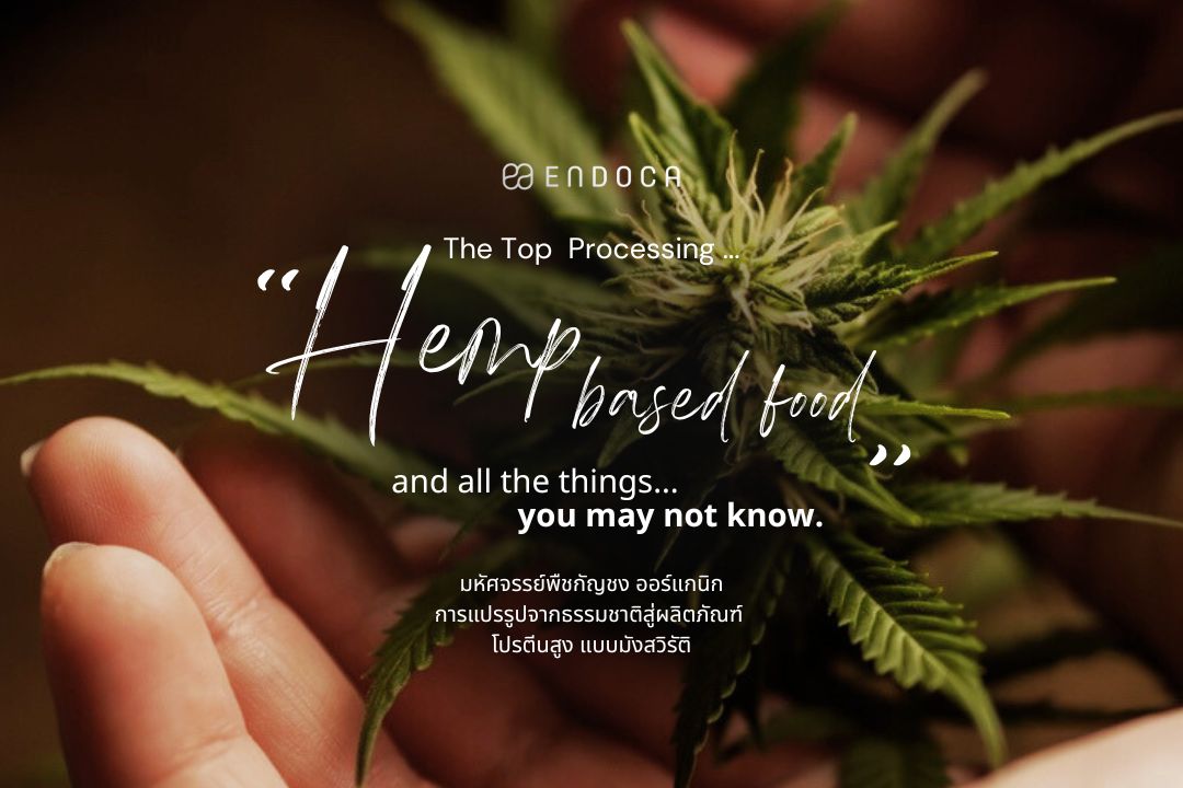 The Top Processing of Organic Hemp-Based Food Ingredients