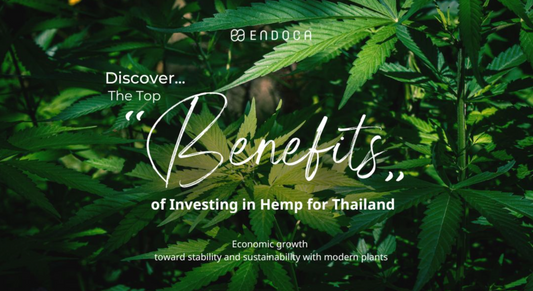 Discover the Top Benefits of Investing in Hemp for Thailand